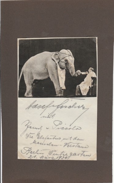 ADOLF FISCHER (Daten unbekannt) deutscher Zirkusdirektor, Elefantendressur