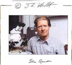 JOHN GURDON (John Bertrand Gurdon , 1933-2025) Sir, britischer Entwicklungsbiologe und Professor an der University of Cambridge. John B. Gurdon erforschte die Bedeutung des Nukleolus der Zelle. Er legte außerdem mit seinen Arbeiten zur Transplantation von Zellkernen die Grundlage für das Klonen von Tieren. Im Jahr 2012 wurde ihm gemeinsam mit Shin’ya Yamanaka der Medizin-Nobelpreis zuerkannt.