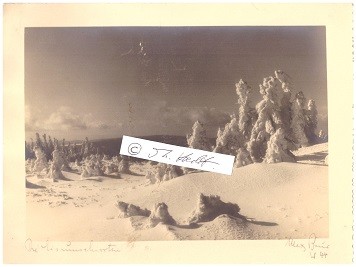 MAX BAUR (1898-1988) deutscher Fotograf und Verleger von Ansichtskarten. Ab 1933 machte er Bekanntschaft mit Hermann Hesse, der ein Sammler seiner Fotografien wurde. Die Namensgebung der gleichnamigen antifaschistischen Widerstandsgruppe Weiße Rose geht auf ein Foto Max Baurs zurück.