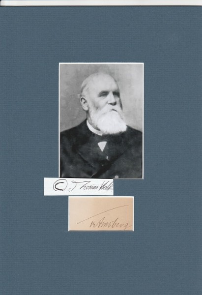 JULIUS VON AMSBERG (1830-1910) deutscher Jurist und mecklenburgischer Minister, wirklicher geheimer Staatsrat