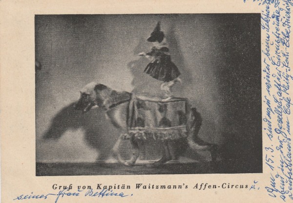 BETTINA WAITZMANN, seine Frau (Louis Waitzmann) Tierdompteur