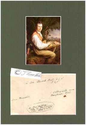 ALEXANDER VON HUMBOLDT (1769-1859) Professor Dr., deutscher Forschungsreisender und Universalgelehrter, Mitbegründer der Geographie als empirischer Wissenschaft