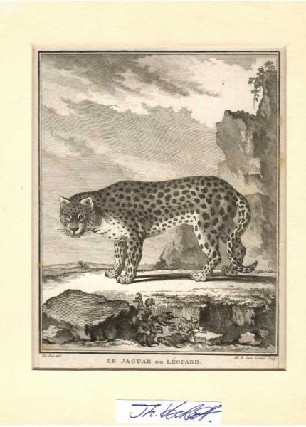 Jacques de Seve (1742–1788) französischer Illustrator) (nach/after) (Autor)