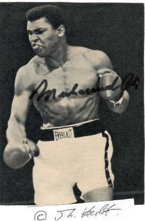 MUHAMMAD ALI (born Cassius Clay Jr., 1942-2016) US-amerikanischer Boxer, Weltmeister im Schwergewicht / American professional boxer and activist. A global cultural icon, widely known by the nickname THE GRATEST, he is often regarded as the greatest heavyweight boxer of all time.