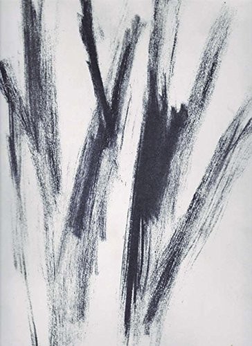 DAVID RABINOWITSCH (1943) kanadischer Bildhauer und Zeichner, erste Einzelausstellung 1968, 1972 übersiedelte er nach New York und hatte von 1974 bis 1975 einen Lehrauftrag an der Yale University, von 1984 bis 2007 war er als Professor für Bildhauerei an der staatlichen Kunstakademie Düsseldorf tätig
