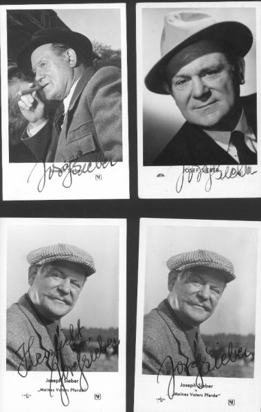 JOSEF SIEBER (auch Joseph Sieber, 1900-62) deutscher Staatsschauspieler, er wirkte ab 1934 in über 60 deutschen Spielfilmen, bekannteste Gesangseinlage wohl das Lied Das kann doch einen Seemann nicht erschüttern mit Hans Brausewetter und Heinz Rühmann