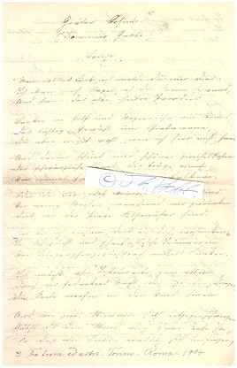 DOMENICO GNOLI (1838-1915) italienischer Schriftsteller, Kunsthistoriker und Bibliothekar, 1881 Direktor der Biblioteca Nazionale Centrale (italienische Nationalbibliothek) in Rom. Unter dem Pseudonym Dario Gaddi veröffentlichte er Lyrik. Er nutzte des Weiteren die Pseudonyme Gina d’Arco und Giulio Orsini.