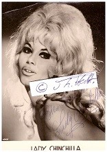 LADY CHINCHILLA (Daten unbekannt) internationaler Striptease-Star