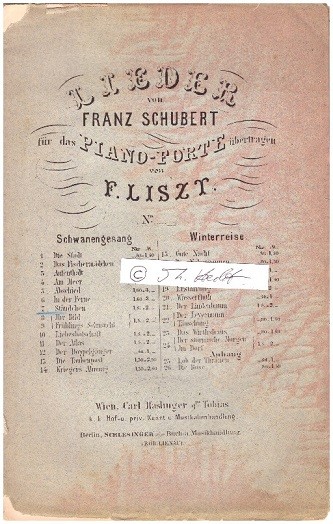 FRANZ LISZT (Ferencz Liszt, 1811-86) ungarischer Komponist, Pianist, Dirigent, Theaterleiter, Musiklehrer und Schriftsteller mit deutscher Muttersprache