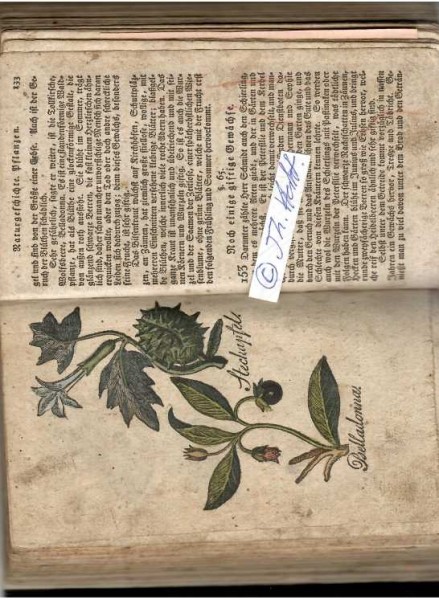 CARL FRIEDRICH HEMPEL (Daten unbekannt) Prediger zu Stünzhayn bey Altenburg