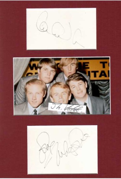 THE BEACH BOYS; CARL WILSON (1946-98) US-amerikanischer Musiker. Er war Leadgitarrist und einer der Sänger der Pop/Rock-Band The Beach Boys, MIKE LOVE (1941) Gründungsmitglied, ältestes Mitglied und Leadsänger der Rock/Pop-Band The Beach Boys