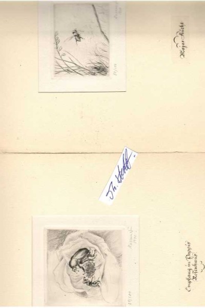 PETER CHRISTIAN RASMUSSEN (1897 Berlin-1935 Birkenrød) deutsch-dänischer Maler und Radierer / german-danish painter; Schüler von Emil Orlik und 1925/30 Professor an der Kunstgewerbeschule in Frankfurt/M.
