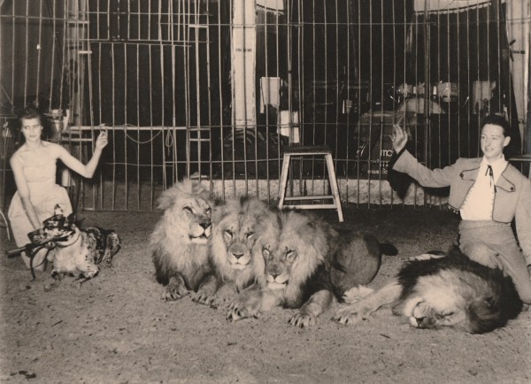 DIETRICH VAN MEWS Raubtierdompteur, Löwendompteur