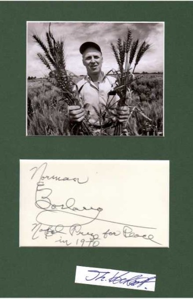 NORMAN BORLAUG (Norman Ernest Borlaug, Norman E. Borlaug, 1914-2009) Professor, Friedensnobelpreis 1970 / American agronomist who led initiatives worldwide that contributed to the extensive increases in agricultural production termed the Green Revolution. Borlaug was awarded multiple honors for his work, including the Nobel Peace Prize, the Presidential Medal of Freedom and the Congressional Gold Medal