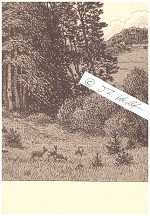HANS VON VOLKMANN (Hans Richard von Volkmann, 1860-1927) deutscher Illustrator und Landschaftsmaler der Düsseldorfer Schule, Vorstandsmitglied des Deutschen Künstlerbundes sowie Mitglied der Schwälmer Willingshäuser Malerkolonie