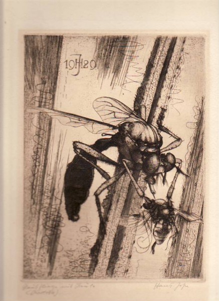 HANS JOHN (1888-1973) dt. Maler u. Grafiker aus Berlin, später Bad Nauheim; bedt. Entomolge, stellte bes. Insekten und Weichtiere dar