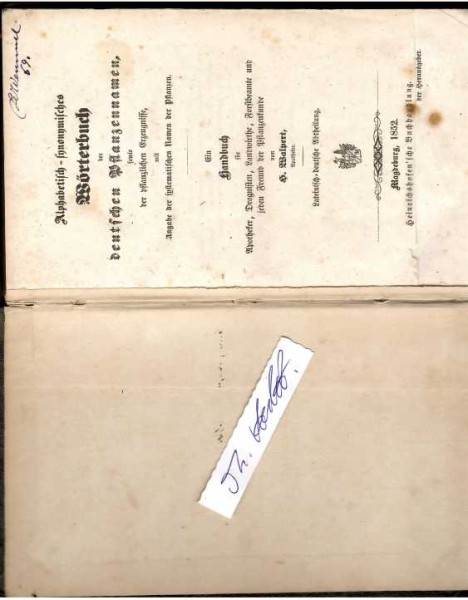 H. WALPERT Apotheker