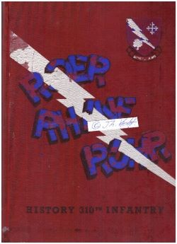 REGIMENT 310th INFANTRY (Regimentsgeschichte / british military history)