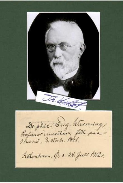 EUGEN WARMING (Johannes Eugenius Bülow Warming, 1841-1924) dänischer Botaniker und Universitätsprofessor. Sein offizielles botanisches Autorenkürzel lautet „Warm.“ Professor für Botanik und Direktor des Botanischen Gartens in Kopenhagen. 1914 wurde er in die American Academy of Arts and Sciences gewählt.
