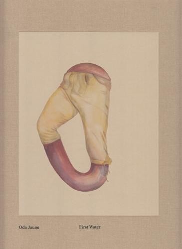 ODA JAUNE (Michaela Danowska, 1979) bulgarische Malerin, Meisterschülerin und Ehefrau von Jörg Immendorff