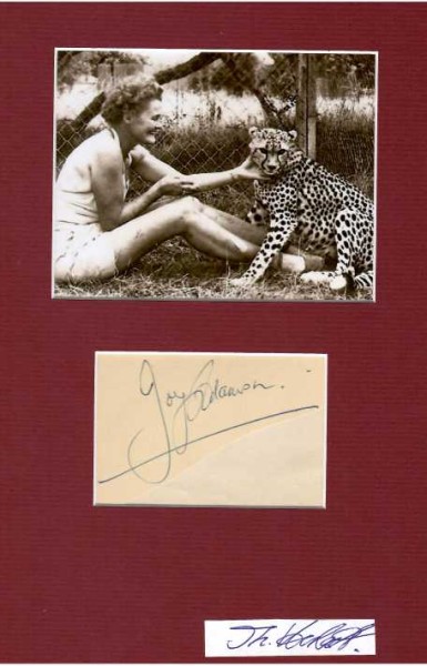 JOY ADAMSON (1910-80 ermordet im Shaba-Nationalreservat in Kenia) britisch-österreichisch-afrikanische Löwenmutter und Schriftstellerin